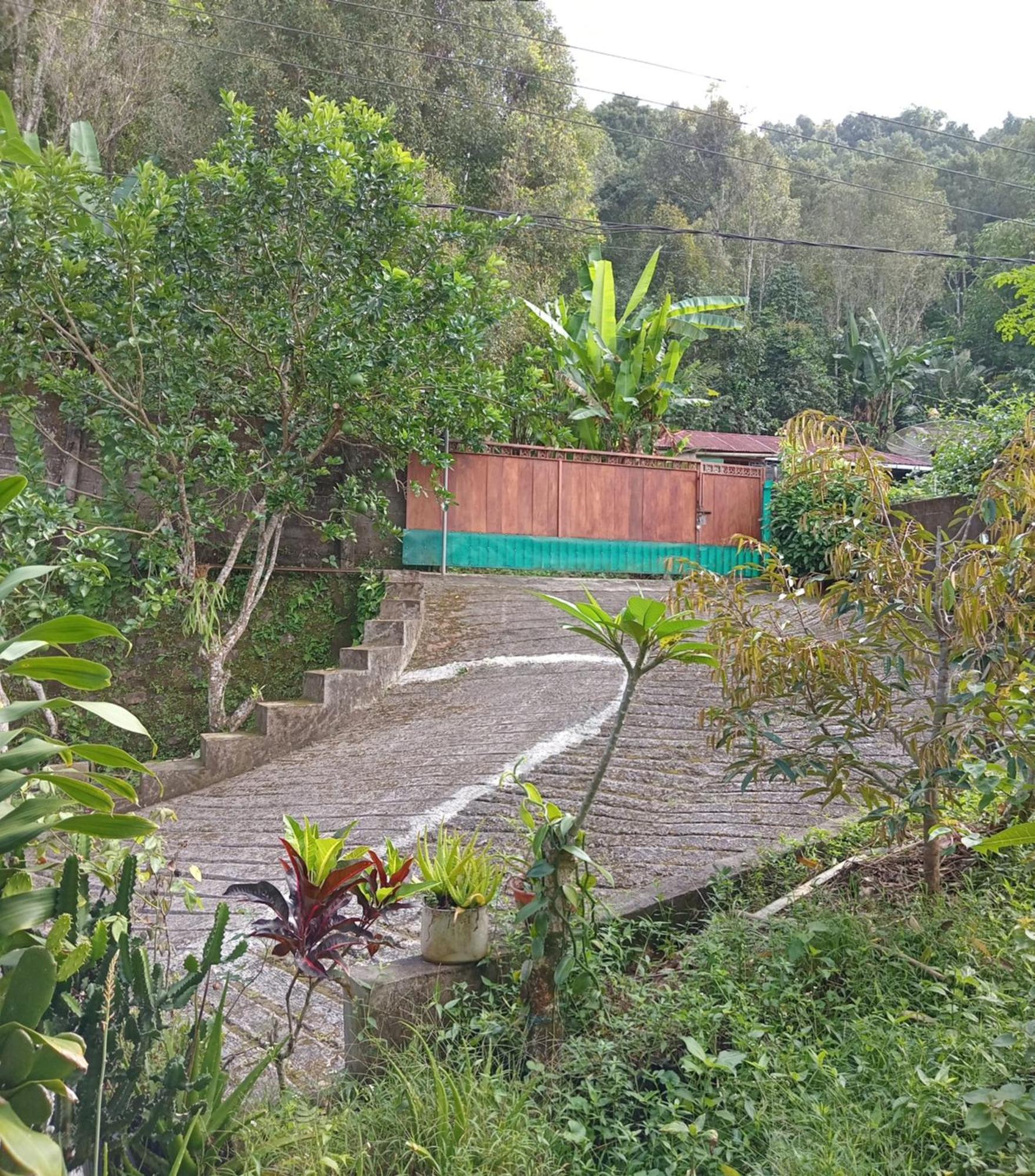 Kanaya Homestay & Warung Heaven Munduk  Exterior photo